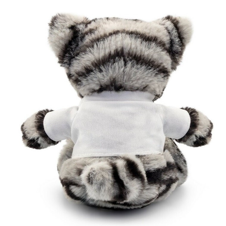 Teddy cat with a white T-shirt for printing